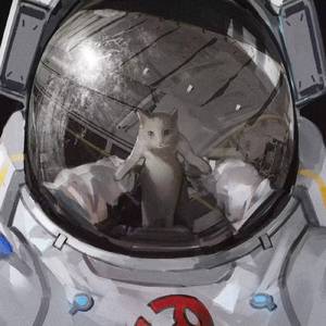 后λ式动态图100期
